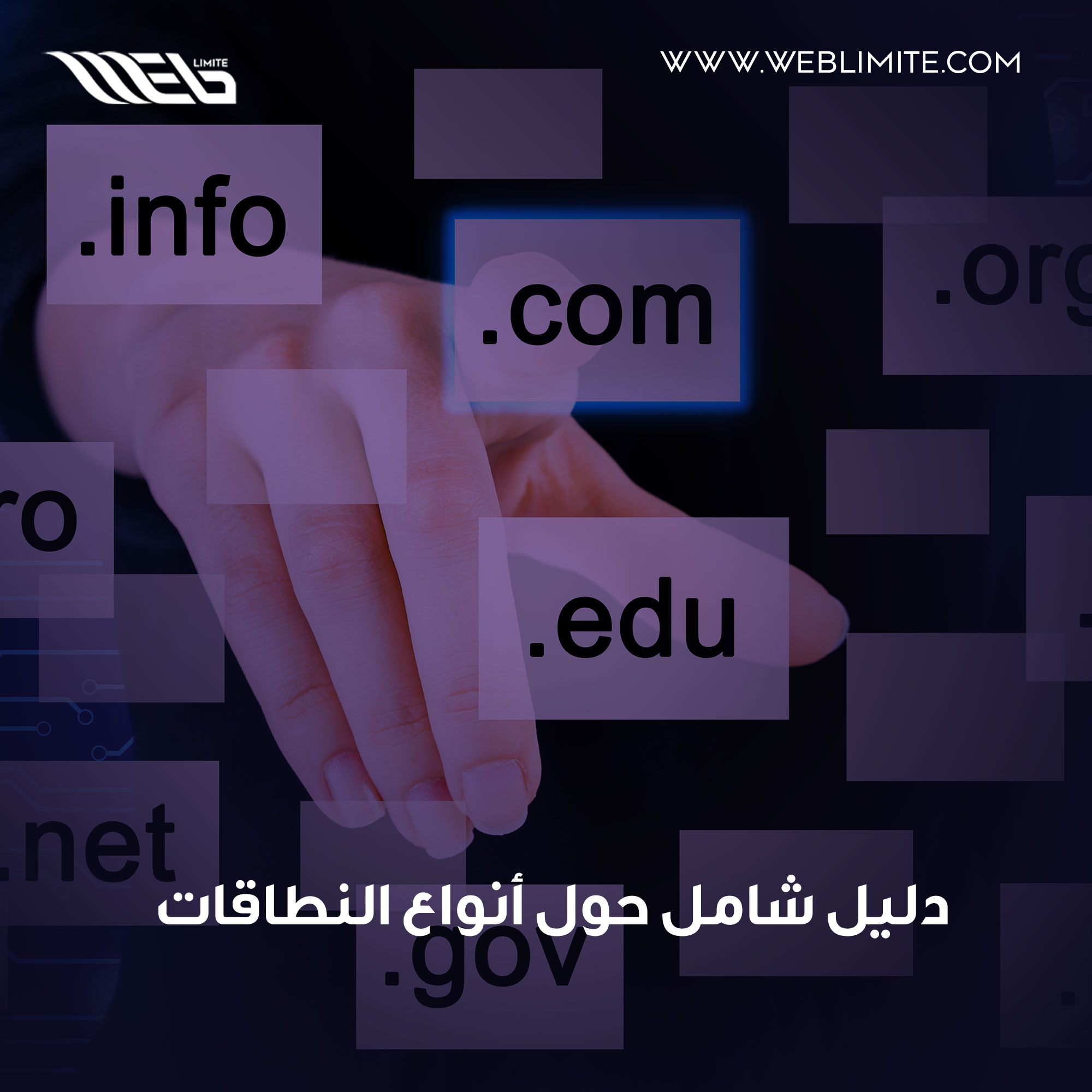 أنواع النطاقات