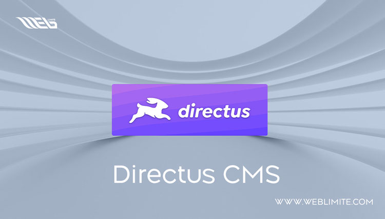 DIRECTUS CMS